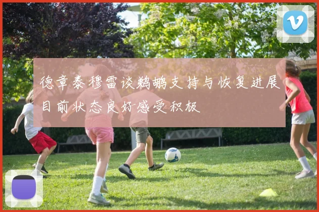 德章泰穆雷谈鹈鹕支持与恢复进展目前状态良好感受积极